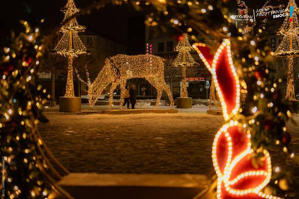 Świąteczne iluminacje na miejskim placu nocą – podświetlona na złoto figura renifera oraz choinki z lampek, w tle spacerujące osoby na ośnieżonej alei.