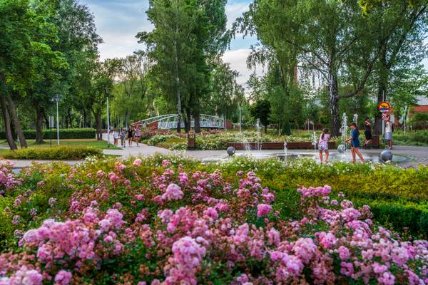 Park z klombami różowych róż, fontanną z tryskającą wodą, po której chodzą bawiące się dzieci, oraz metalową kładką w tle.