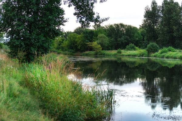 Spokojna rzeka otoczona bujną roślinnością i drzewami, z odbiciem nieba i zieleni w tafli wody.